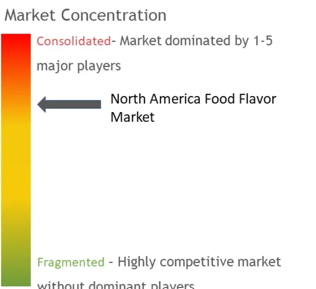North America Food Flavor Market Concentration